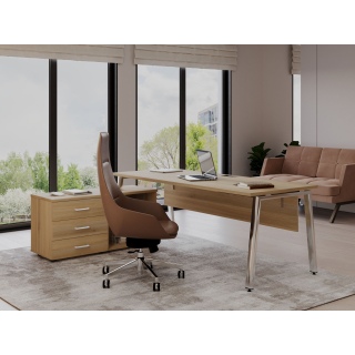 Кабинет руководителя 